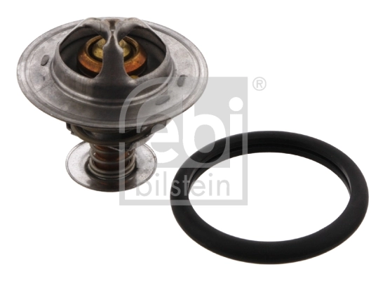Thermostat, coolant